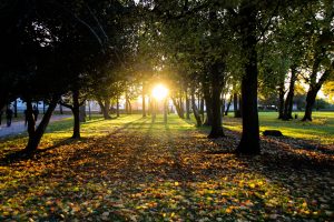 The Setting Sun at the Grand Blottereau