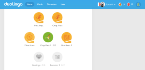 Duolingo on Desktop
