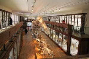 Inside The Natural History Museum