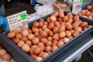 Open Air Eggs for sale at the market