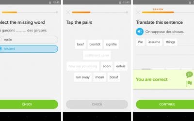 Learning French by yourself with Duolingo