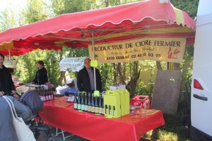 Cider