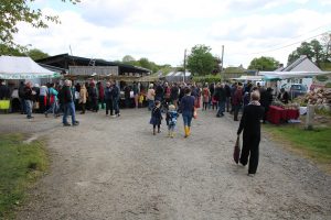 Crowds