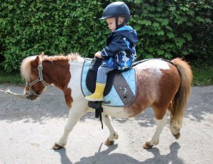 Victor On A Pony
