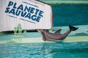 Planete Sauvage