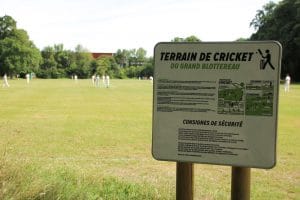 Terrain De Cricket