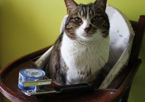 Cookie with Tuna