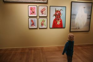 Vibrant colours at the Cimarron exhibit