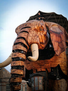 Free Elephant Ride