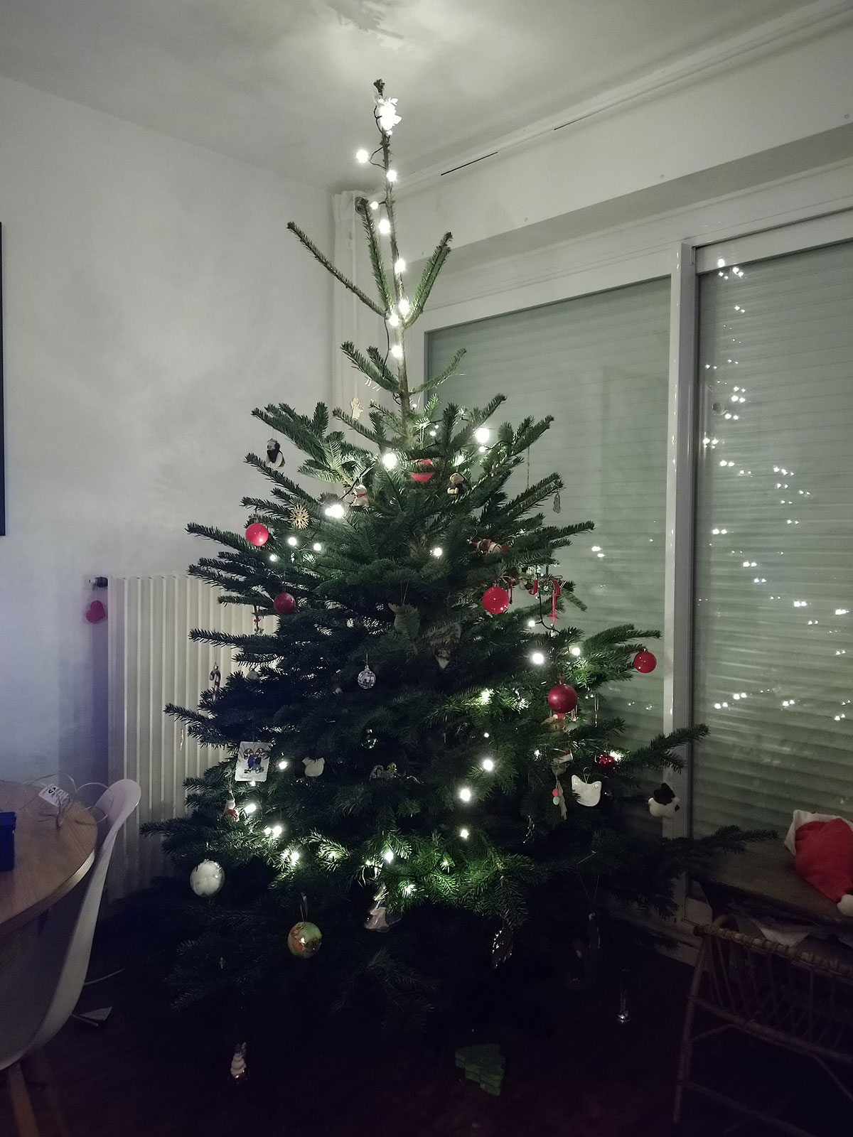 Our Little Christmas Tree