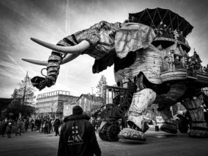 The Elephant in the Room