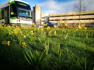 Nantes is better With Flowers