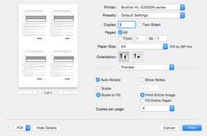 Printer Settings